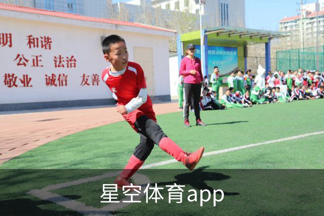 星空体育app团队与业务介绍